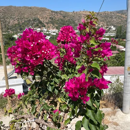 Holiday home Guenaydin