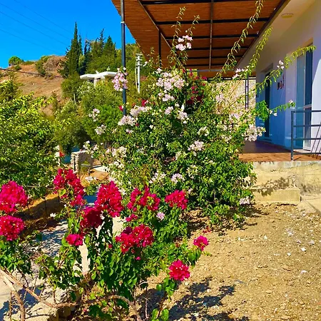 Guenaydin Holiday home