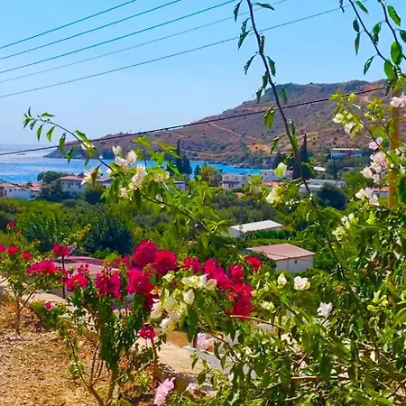 Guenaydin بودروم
