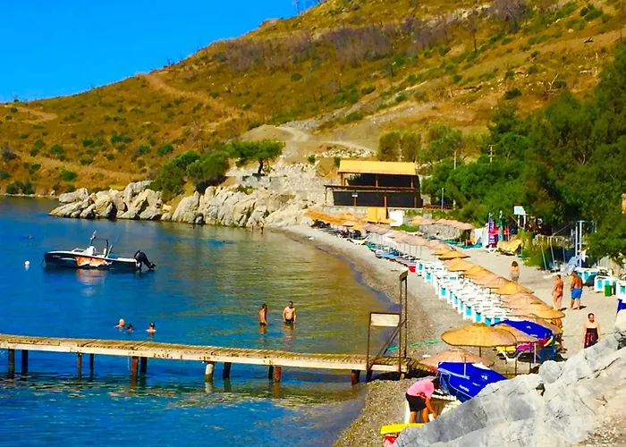 Guenaydin