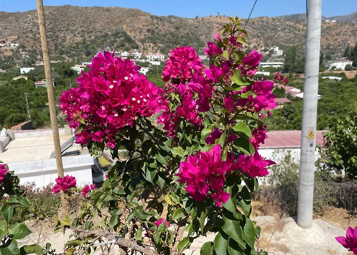 度假居 Guenaydin
